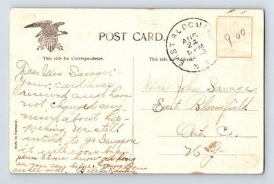 Southold Long Island New York Pines Forest 1908 Postcard Posted Divided Back