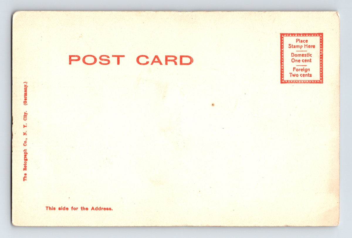 Lebanon New York Pinnacle Valley Aerial Pre-1907 Postcard Unposted Undivided