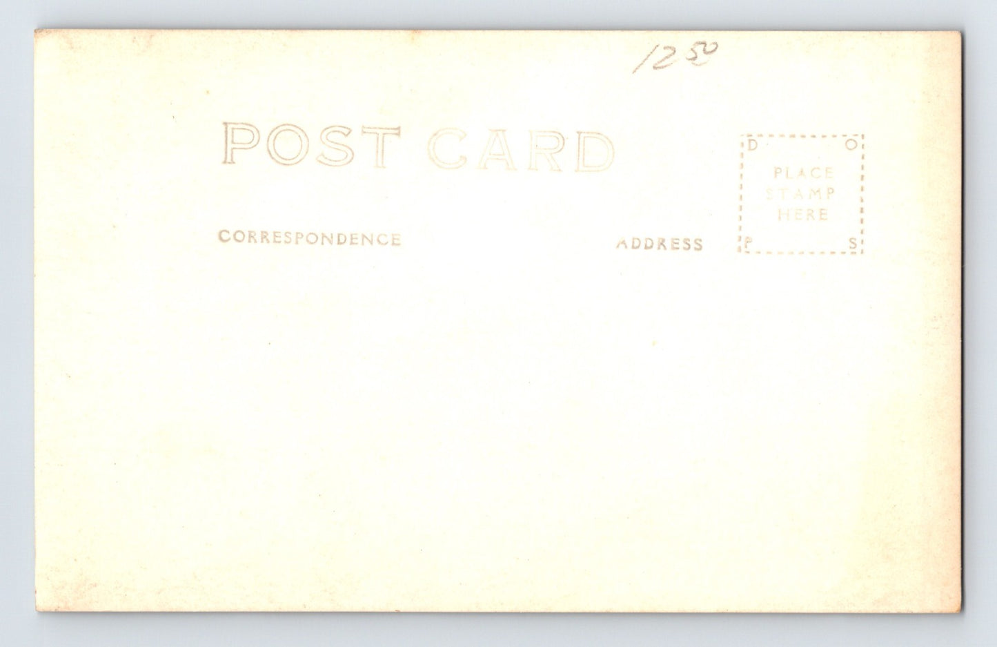 Redwood Highway California Tree Trunk 1930s Postcard RPPC Unposted
