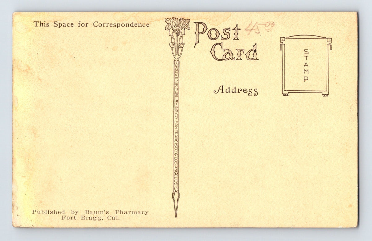 Fort Bragg California Union Lumber Store 1910s Postcard Divided Unposted