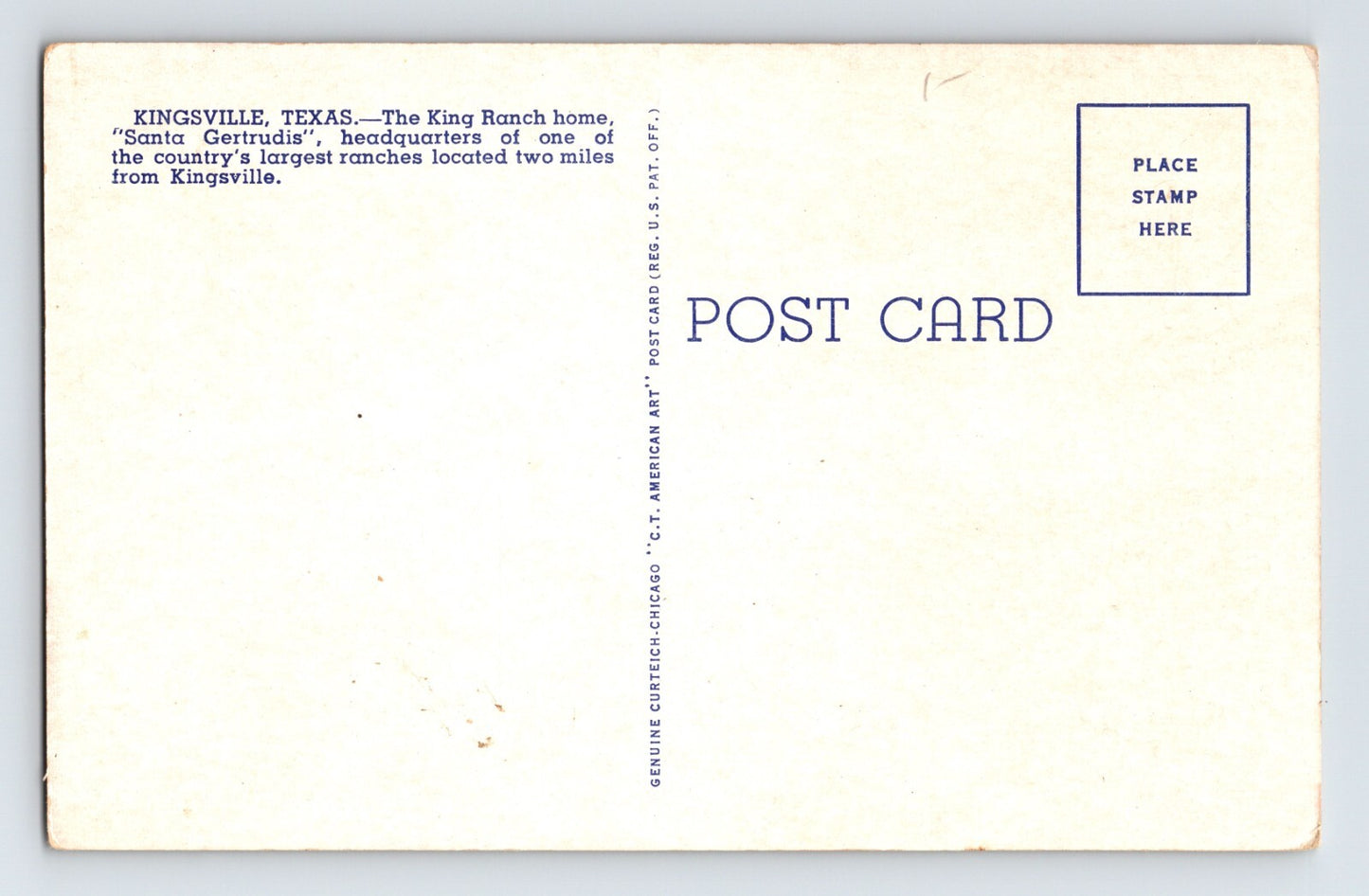 Kingsville Texas Santa Gertrudis King Ranch 1940s Postcard Unposted Chrome