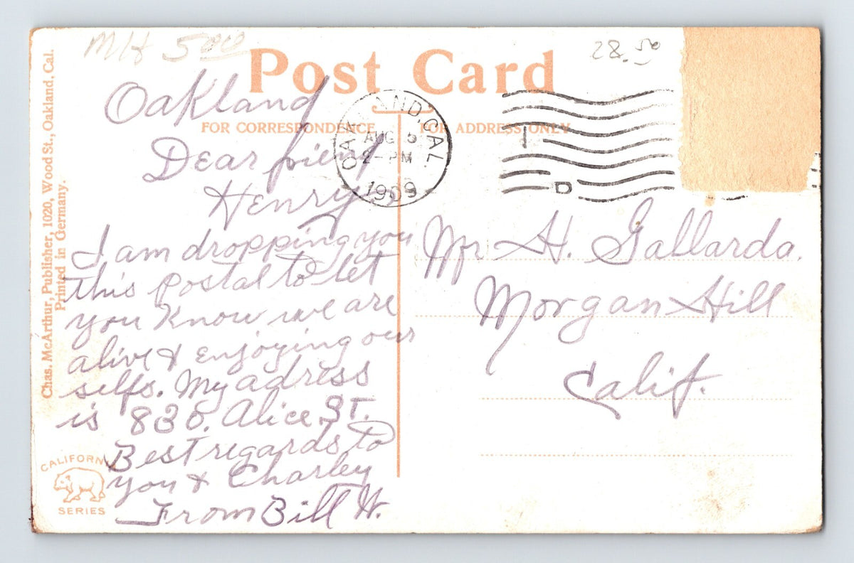 Oakland California Idora Park Rollercoaster Railway 1909 Postcard Posted