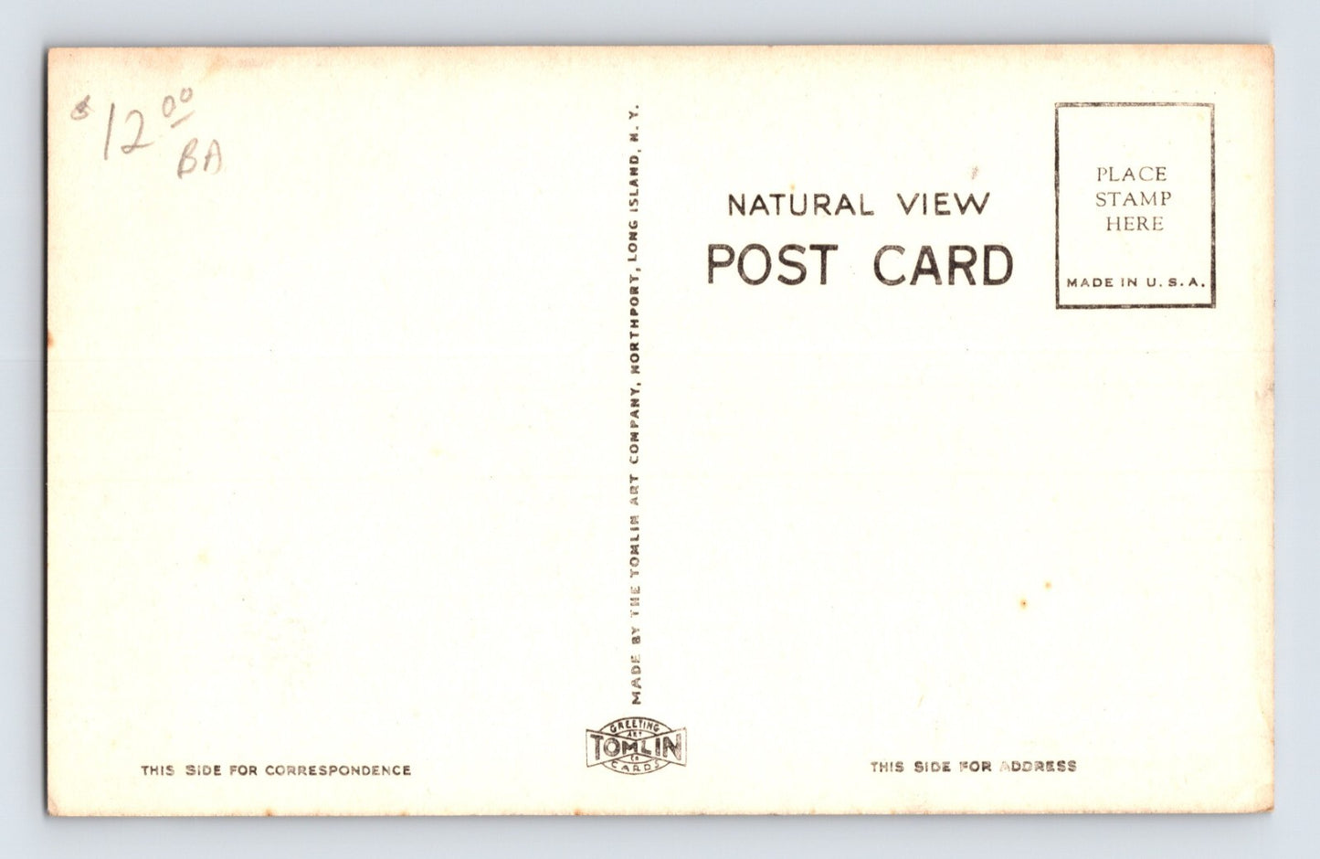 Riverhead New York Long Island Cahoon Memorial Library 1910s Postcard Unposted