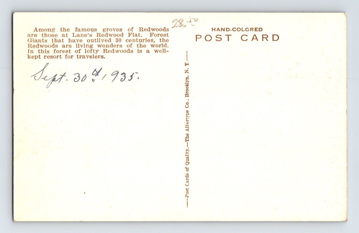 Mendocino California Lane’s Redwood Flats 1930s Postcard Hand Colored