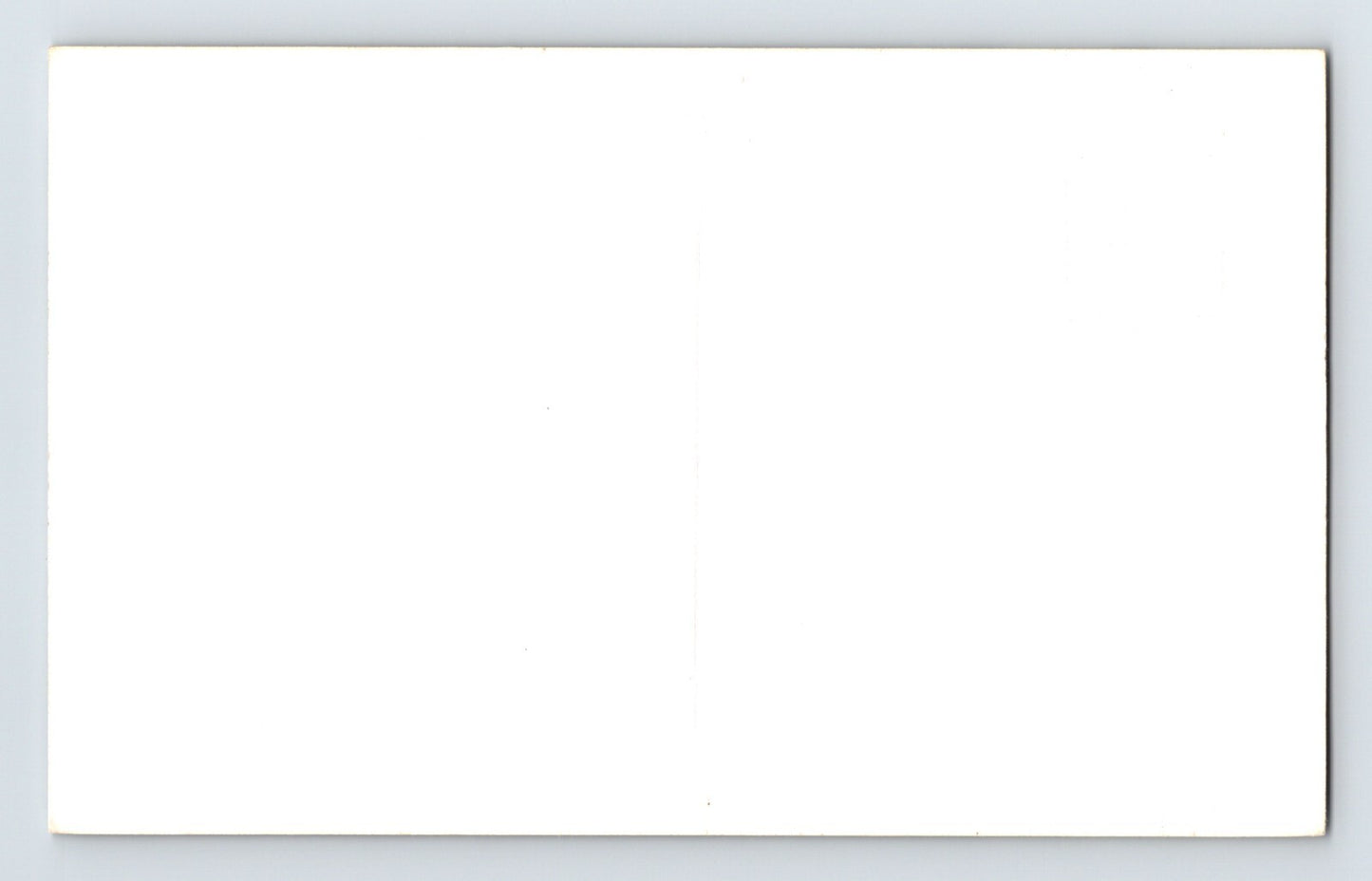 Maranacook Maine Lake Shoreline 1950s RPPC Postcard Unposted
