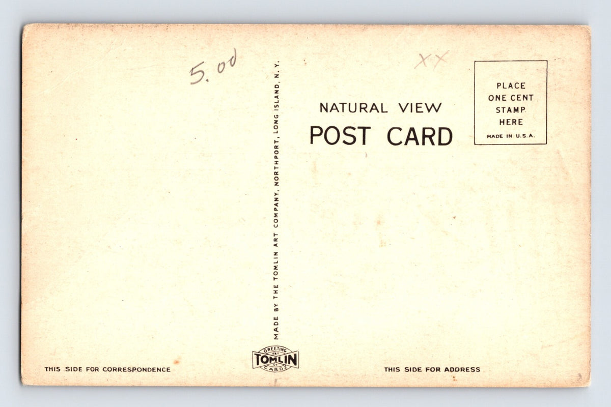 Riverhead New York Long Island World War Memorial Cannon 1910s Postcard Unposted