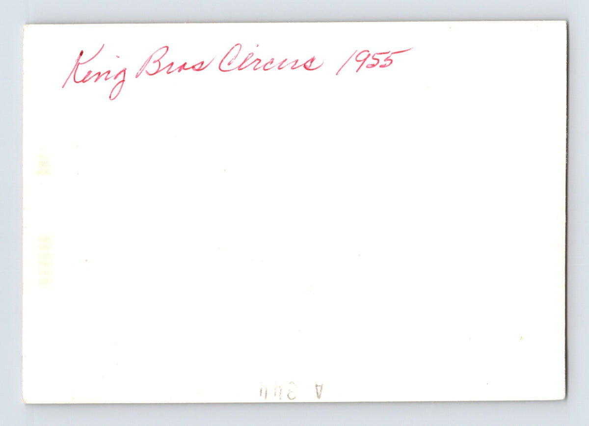 King Bros Circus 1950s Photo Elephant Trailer 5 x 3.5