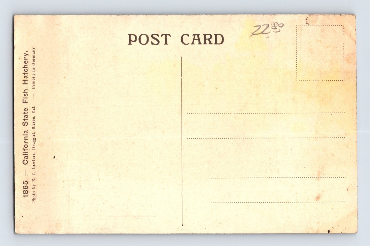 Shasta Springs California Fish Hatchery 1910s Postcard Unposted Divided Back