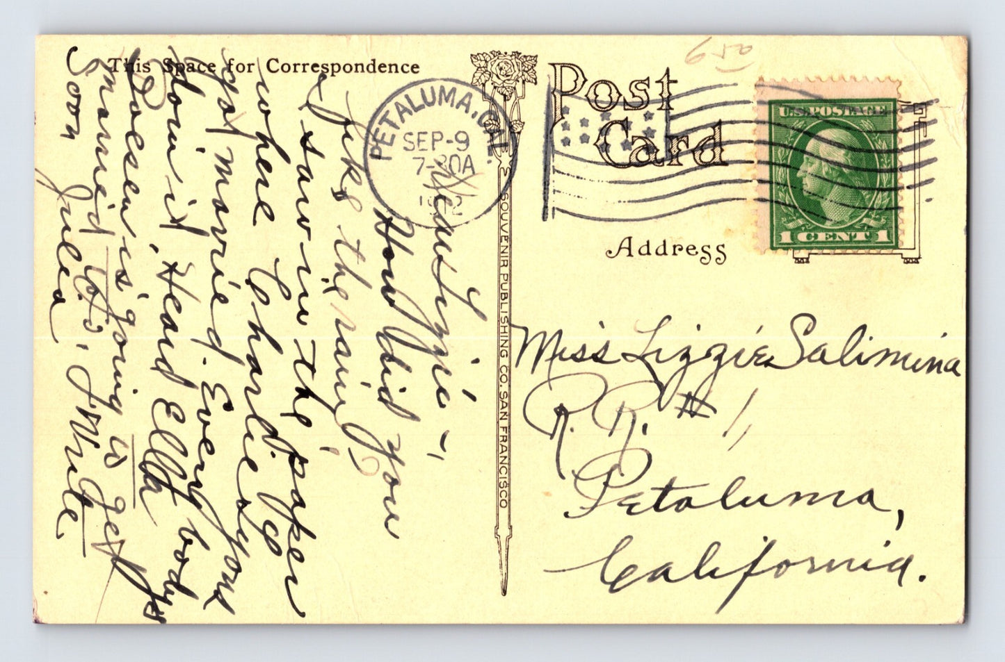 Petaluma California Cockerels Poultry Farm 1912 Postcard Posted