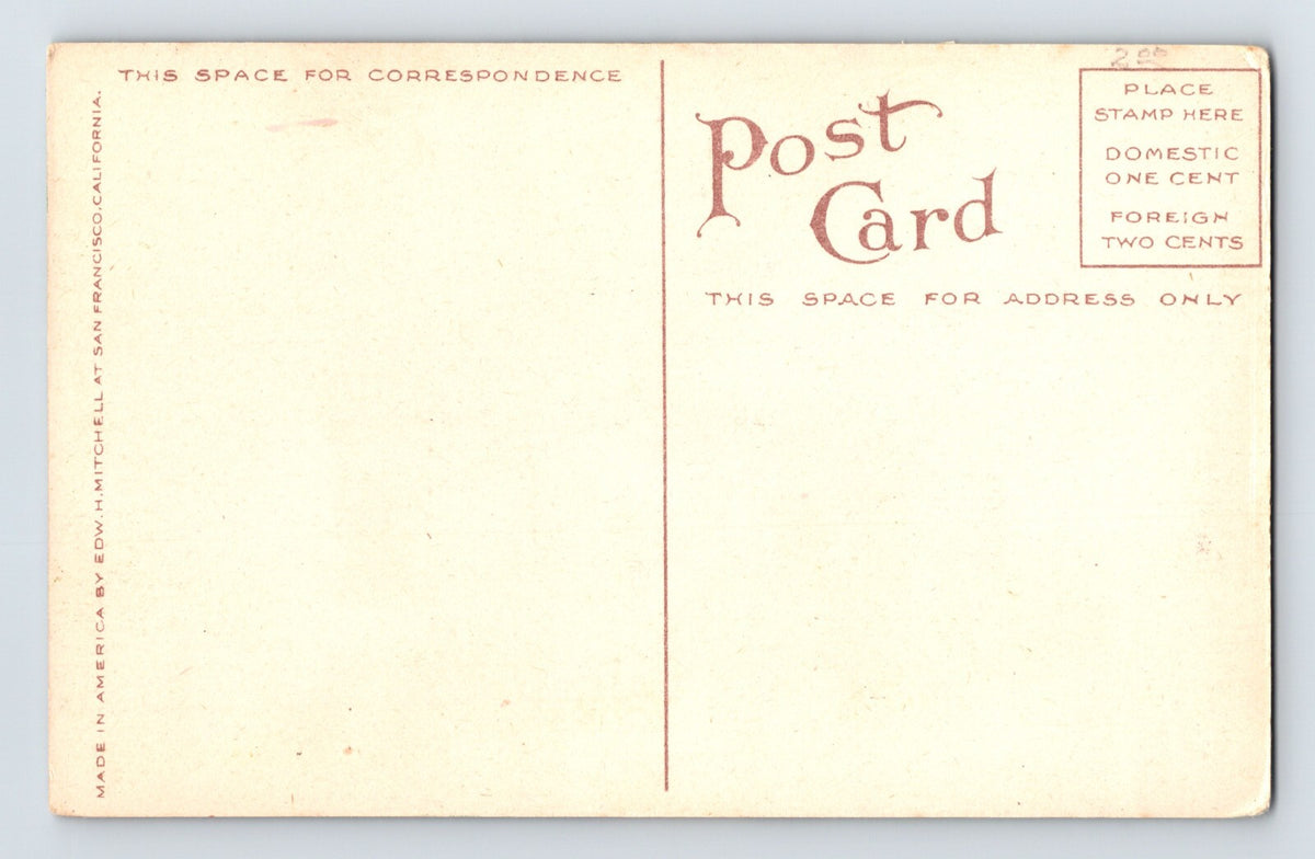 Santa Barbara California Miramar All Saints Sea Church 1910s Postcard Unposted
