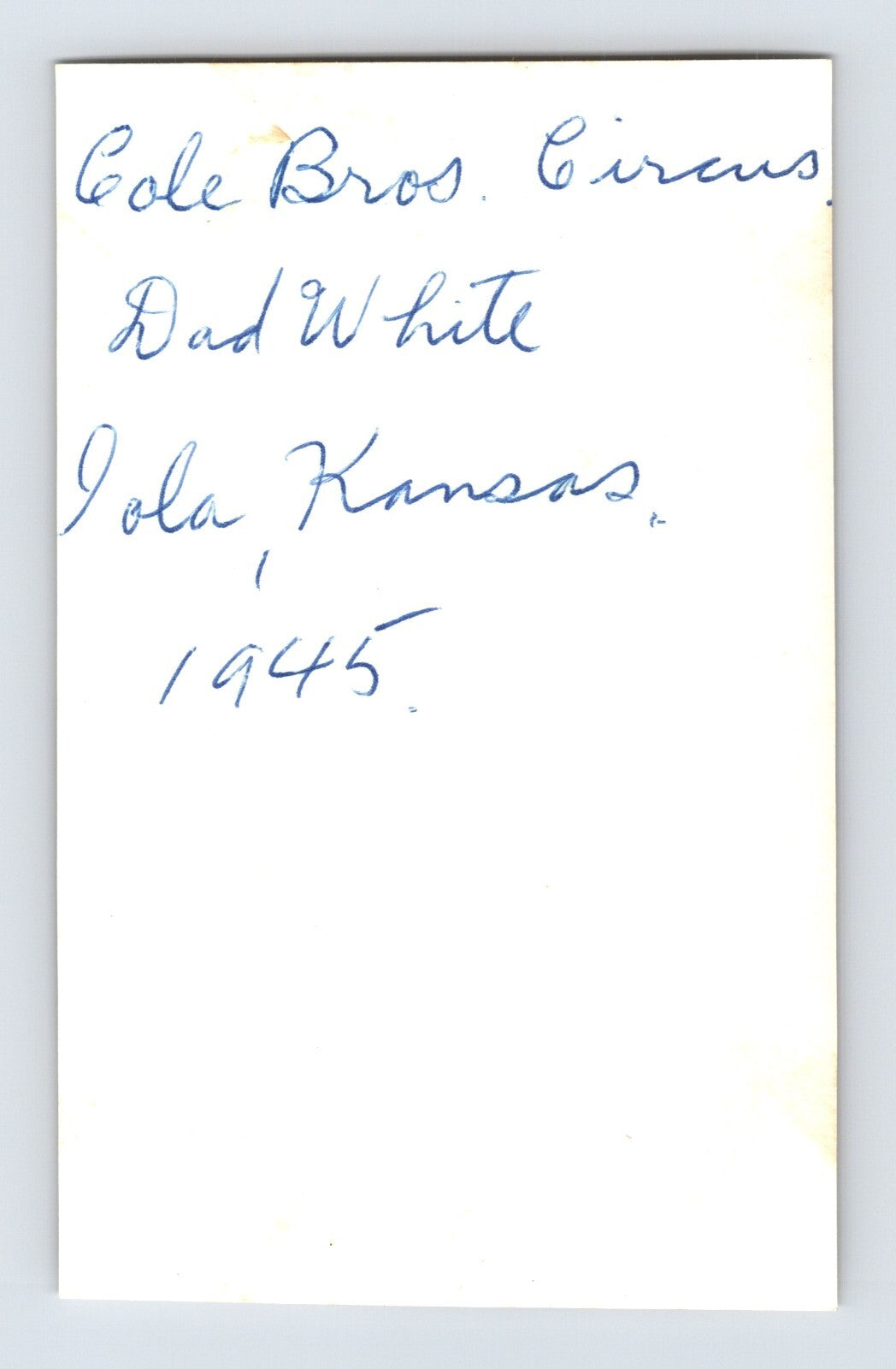 Cole Bros Circus 1945 Photo Elephant Dad White Iola KS 4 x 2.5