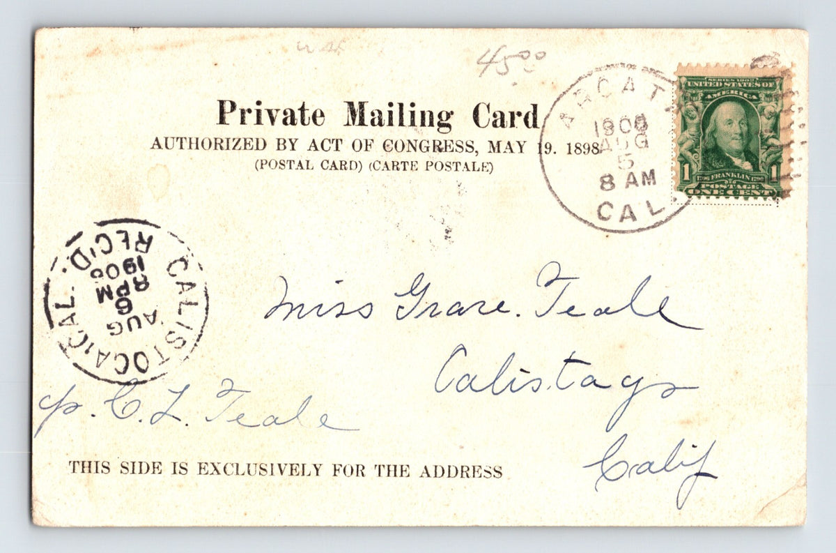 Eureka California E Street Downtown 1906 Postcard Posted Undivided Back