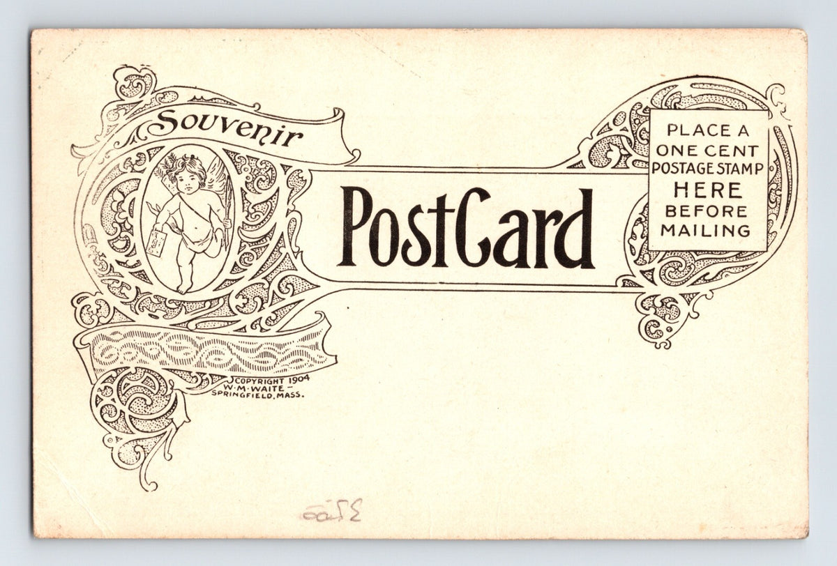 Healdsburg California Plaza City Hall Pre-1907 Postcard Undivided Back