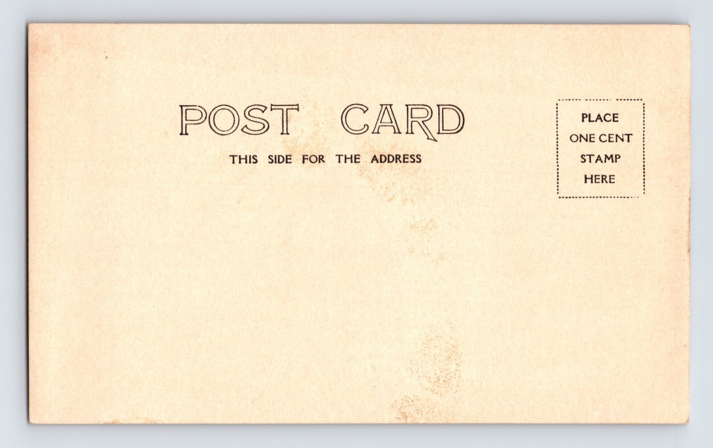 Colfax California Sheep Ranch Horse Pre-1907 RPPC Postcard Unposted Undivided