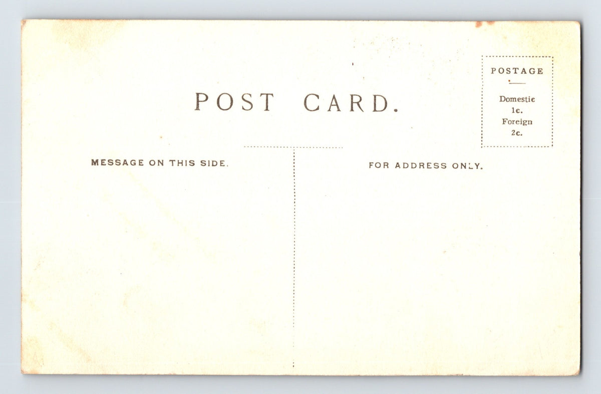 Sacramento California Vestal Vintages Winery 1903 Advertising Postcard