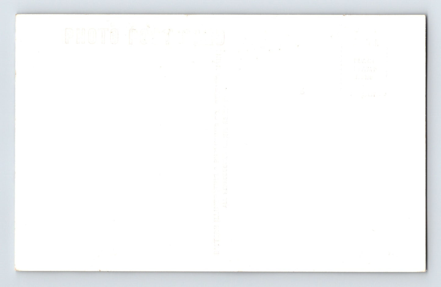 Millinocket Maine Deer Family Snow Winter 1950s Postcard RPPC Unposted