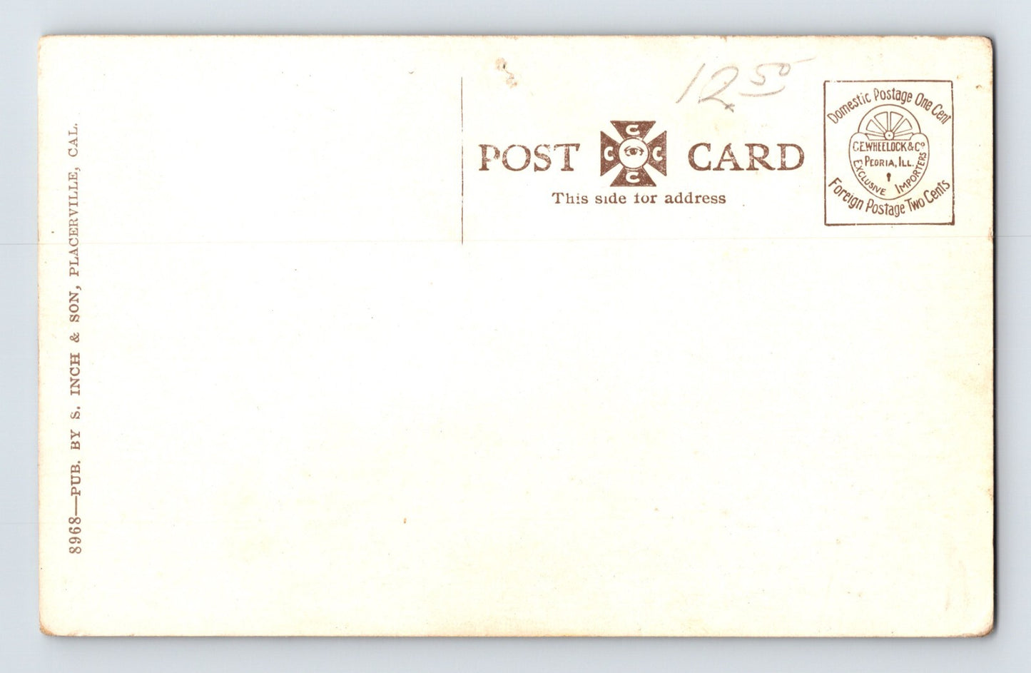 Placerville California Logging Train 1910s Postcard Unposted Divided Back
