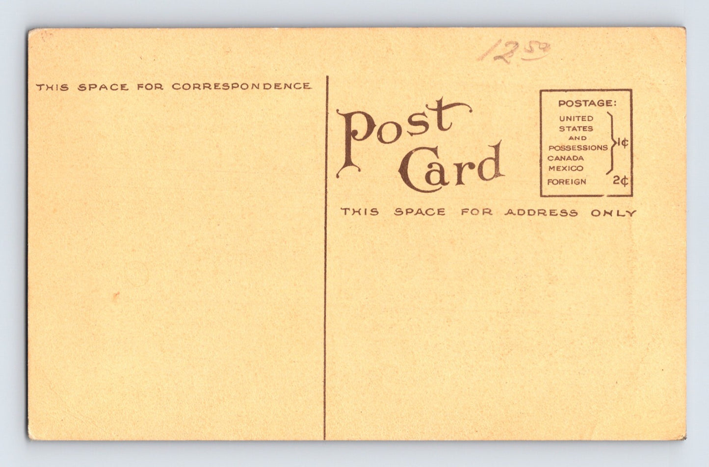 Tuolumne California Falling Timber Logging Lumber Sepia 1910s Postcard