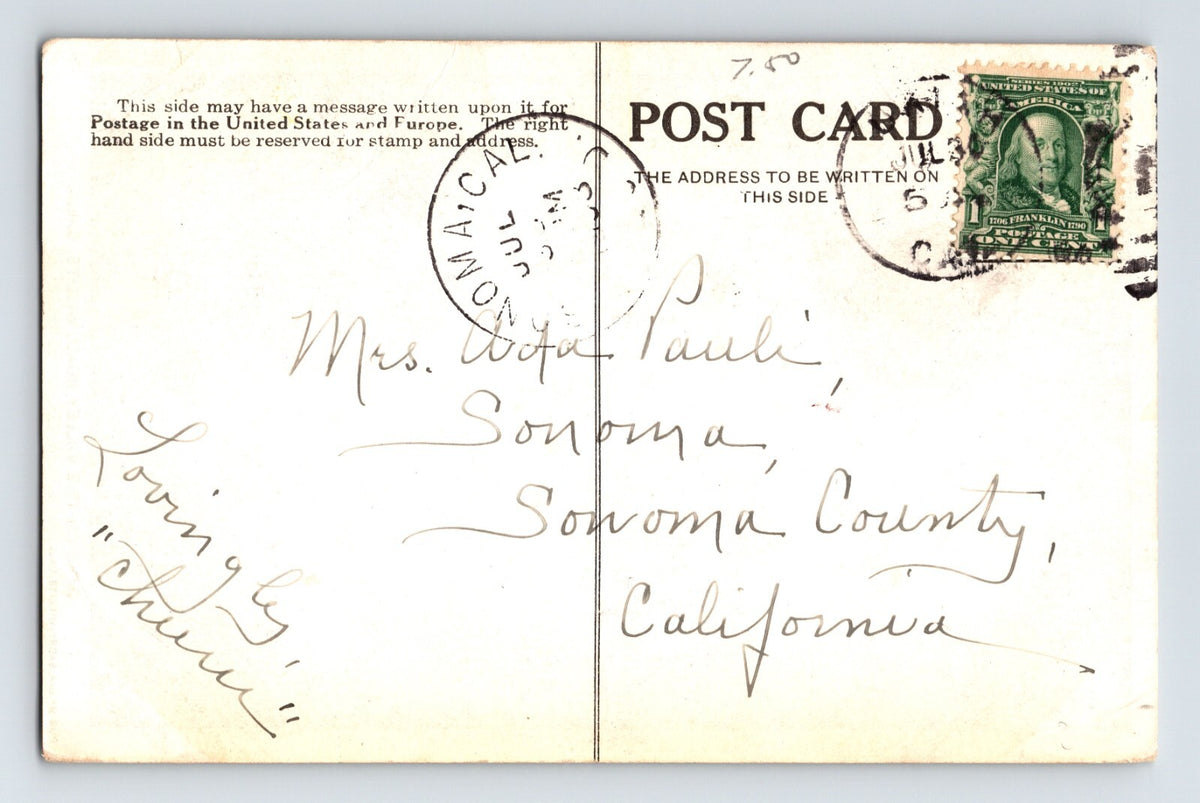 Willits California Valley Road Oak Trees 1908 Postcard Posted Divided Back