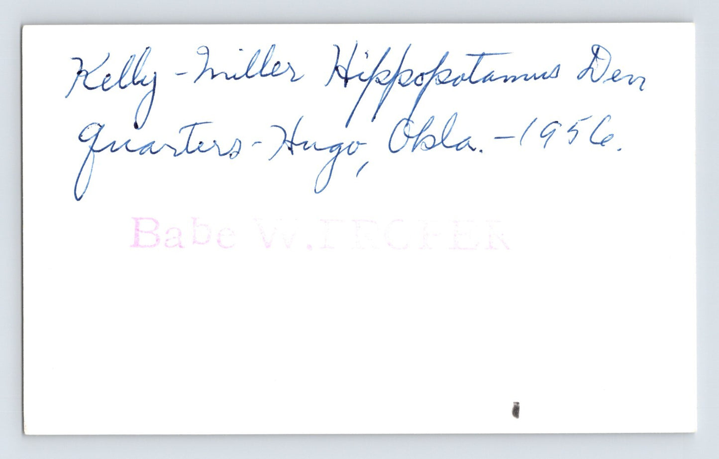 Kelly Miller Circus 1960 Photo Hippo Truck Trailer 5.5 x 3.5