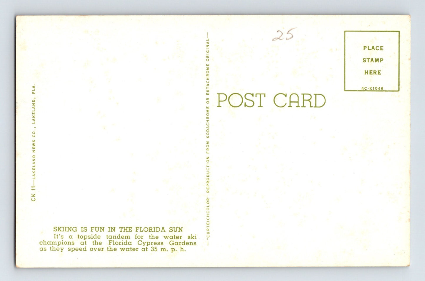 Cypress Gardens Florida Water Skiing Show 1960s Postcard Unposted Chrome