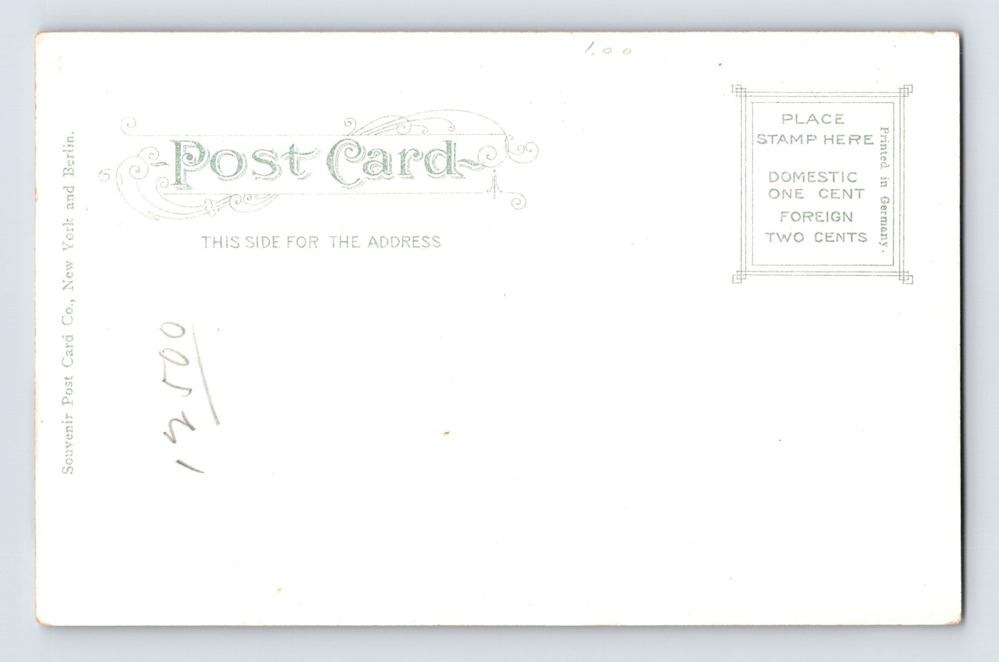 Lynchburg Virginia Miller Orphanage Home Pre-1907 Postcard Undivided