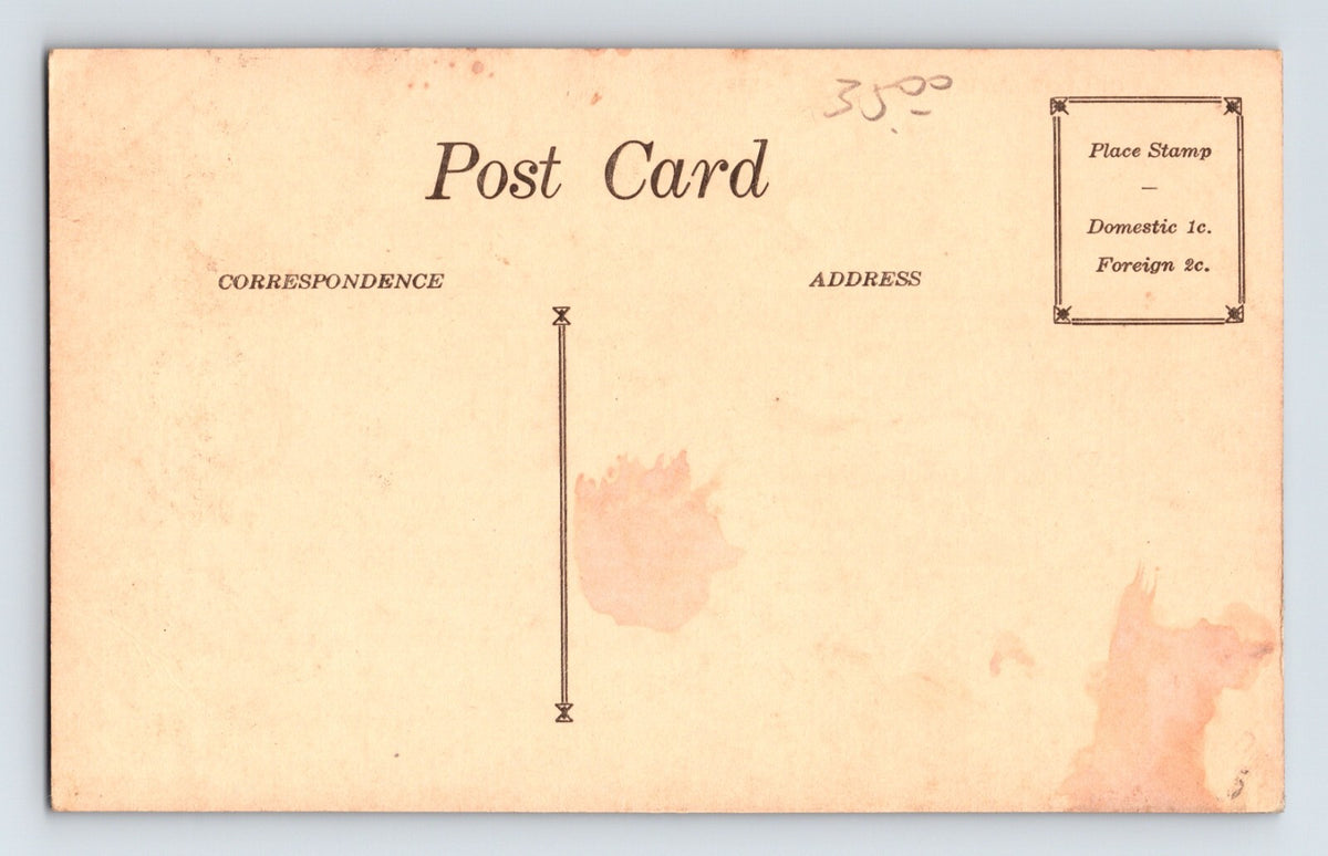 Paradise California College Avenue Sierra Park 1920s Postcard Unposted