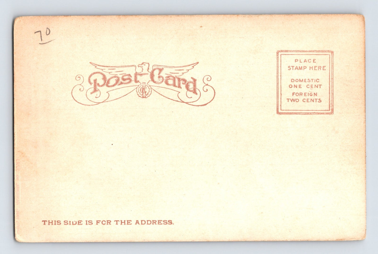 Superior California Peach Orchard Harvest Pre-1907 Undivided Back Postcard