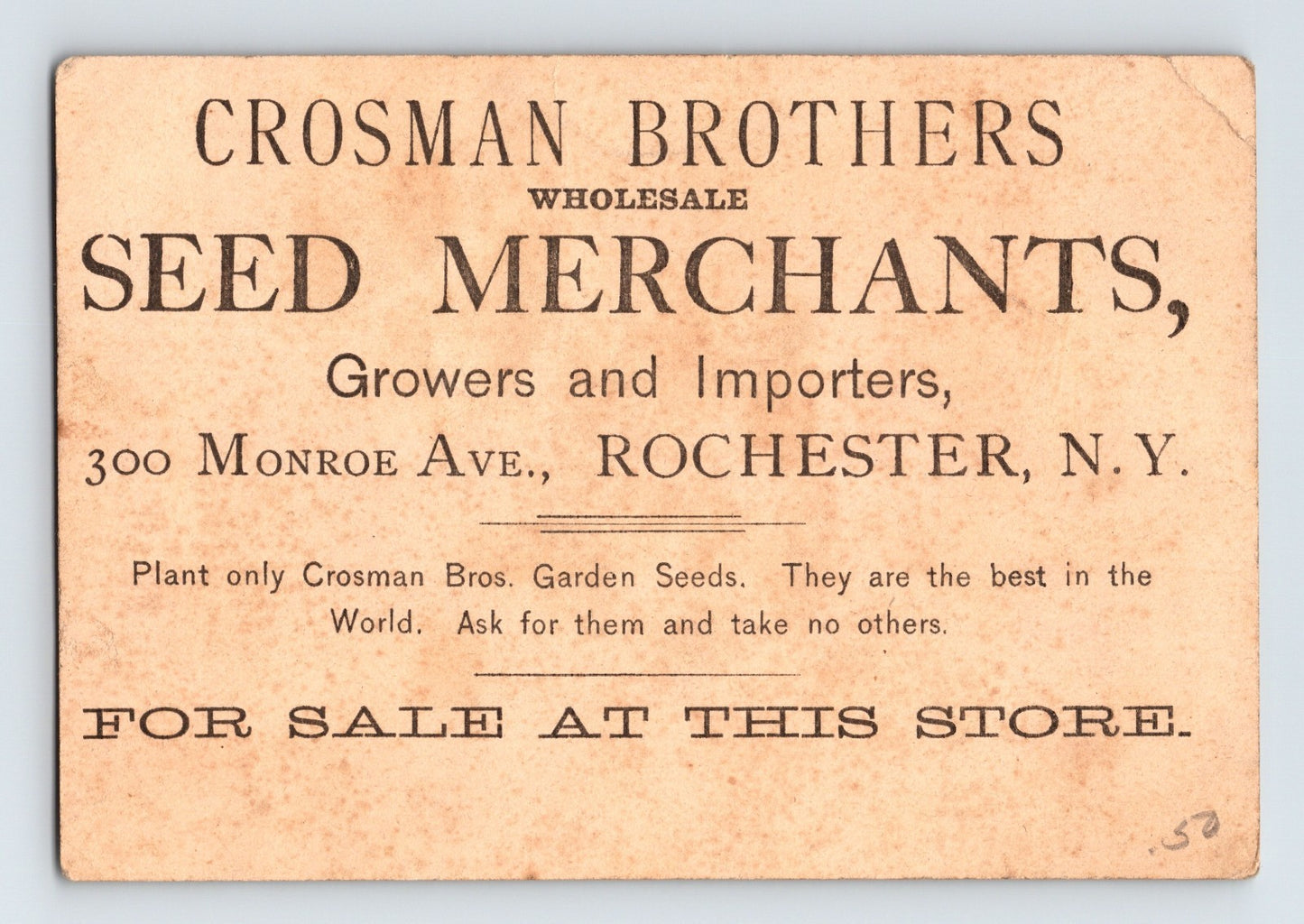 Rochester NY Crosman Bros Seeds 1890s Trade Card Giant Cabbage - 5 x 3.5