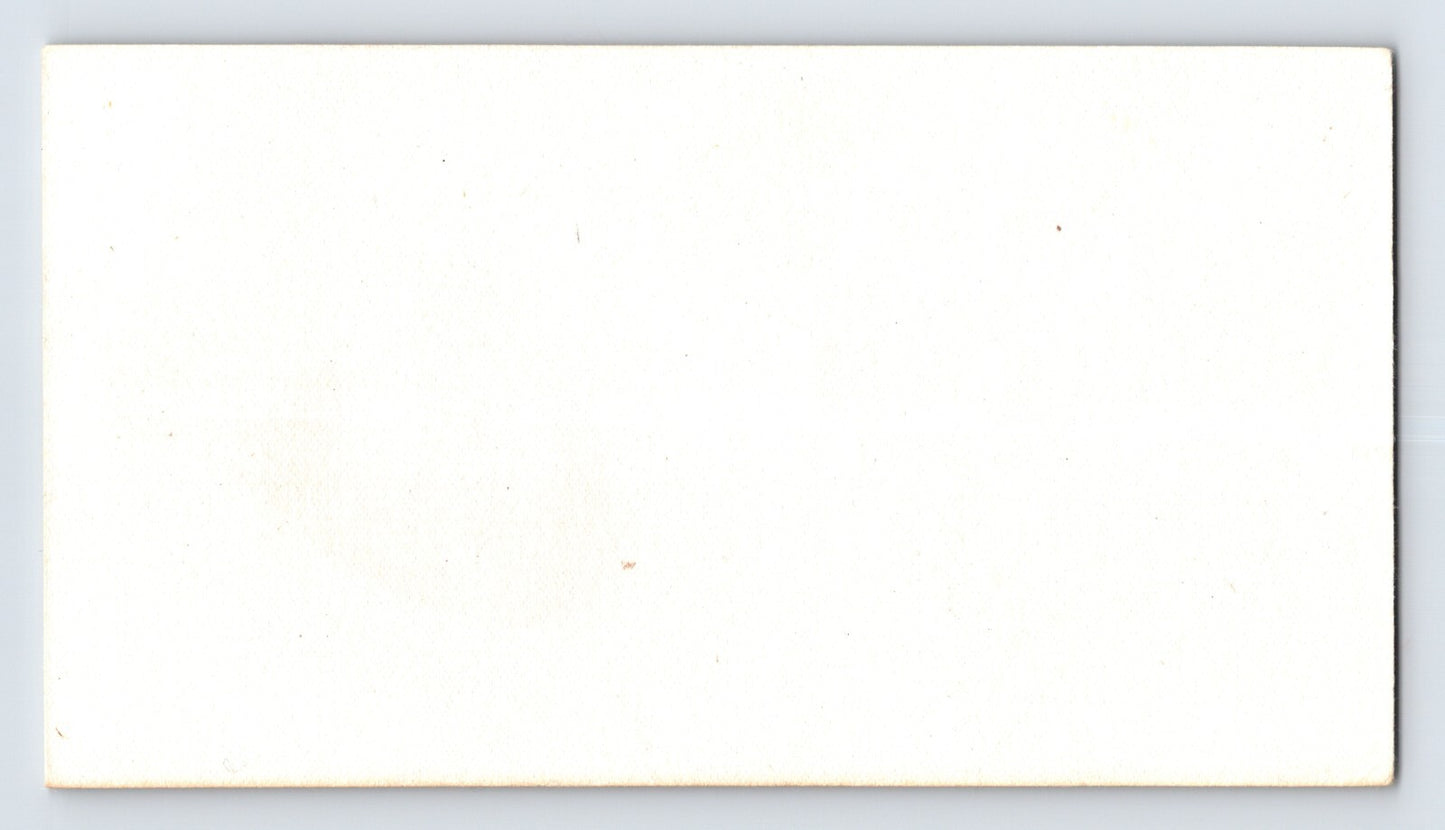 Dayton Ohio Retona Pretty Lady Quack Medicine 1920s Advertising Blotter 6 x 3.5