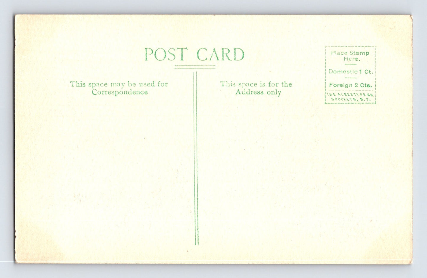 Pine City Minnesota Lake Pokegama Sanatorium 1910s Albertype Postcard