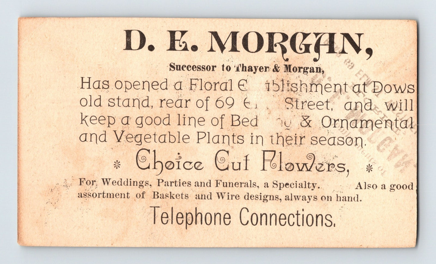 Westfield Massachusetts D E Morgan Florist 1890s Victorian Trade Card 2.5 x 4.5