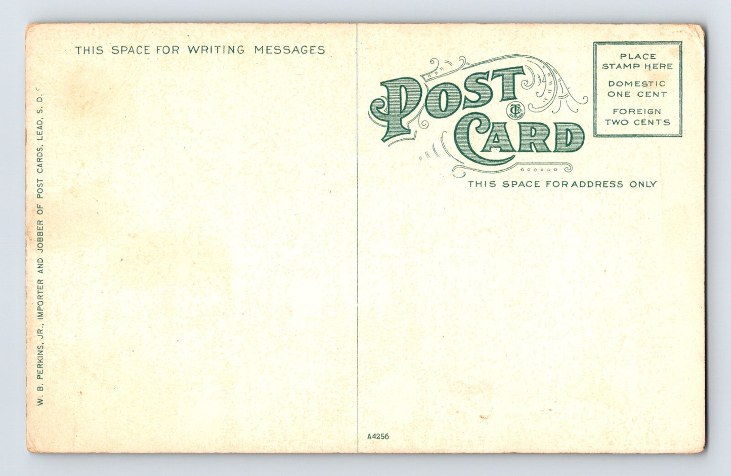 Deadwood South Dakota Railroad Train High Line Lead 1910s Postcard Unposted