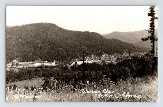 Scotia California Downtown Aerial View 1950s RPPC Postcard Unposted