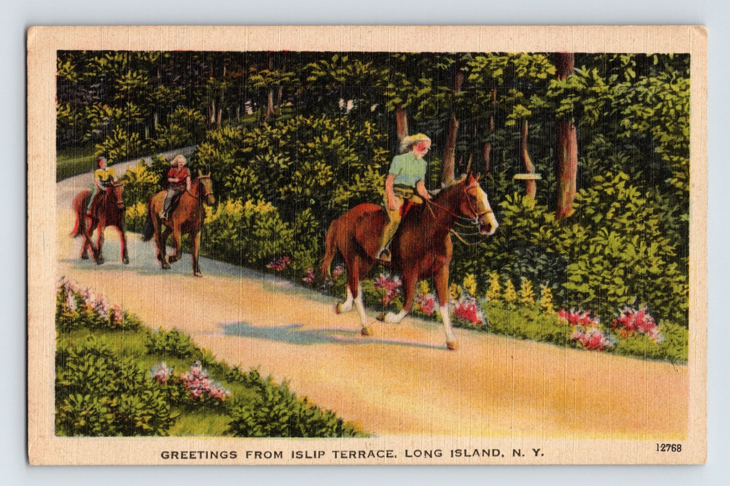 Islip Terrace New York Long Island Horseback Riding 1940s Postcard Unposted