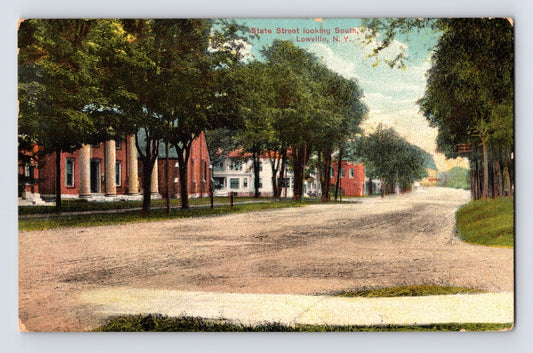 Lowville New York State Street dirt road tree lined houses 1911 postcard posted divided back
