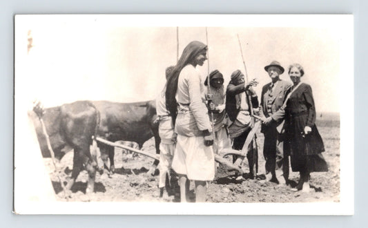 Palestine Plowing Farming Cattle 1940s Photo Wichita Kansas Bodenhamer 4.5 x 2.5