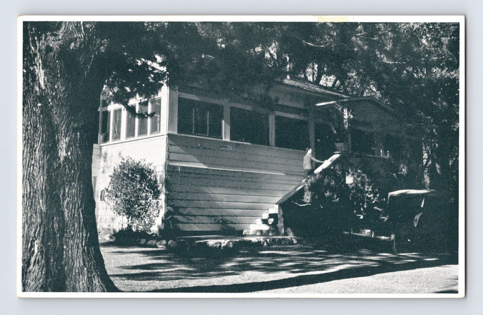 Madrones Inn exterior under mature trees St Helena California 1940s black and white chrome postcard unposted