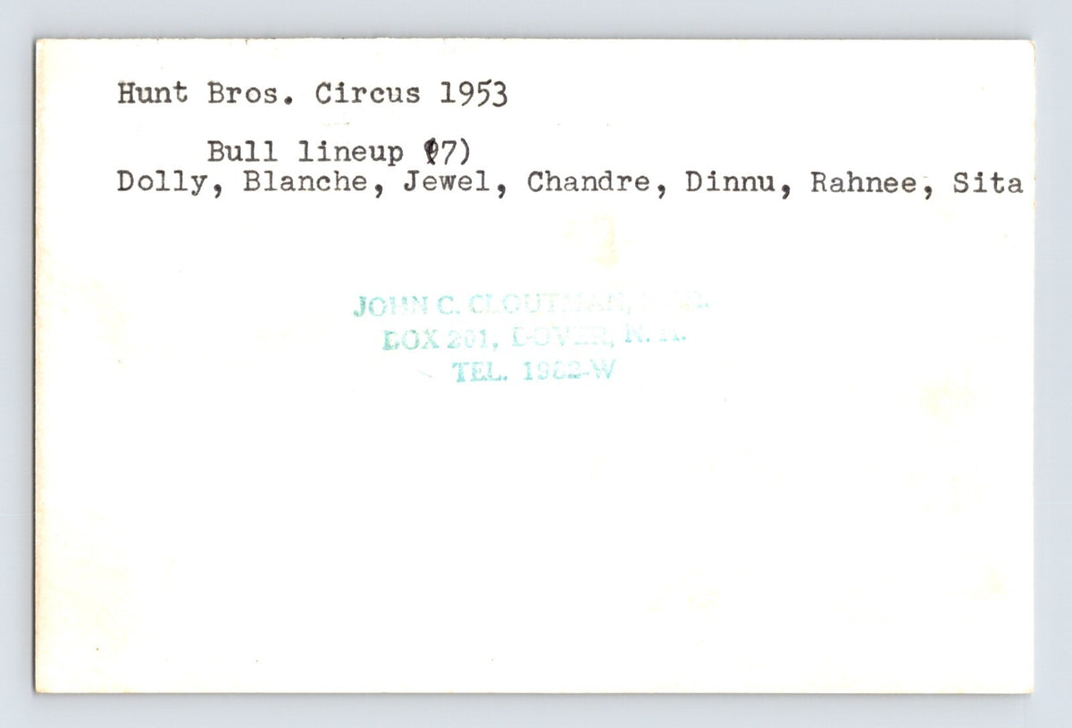 Hunt Brothers Circus 1953 Photo Elephant Herd Named Bulls 5.5 x 3.5