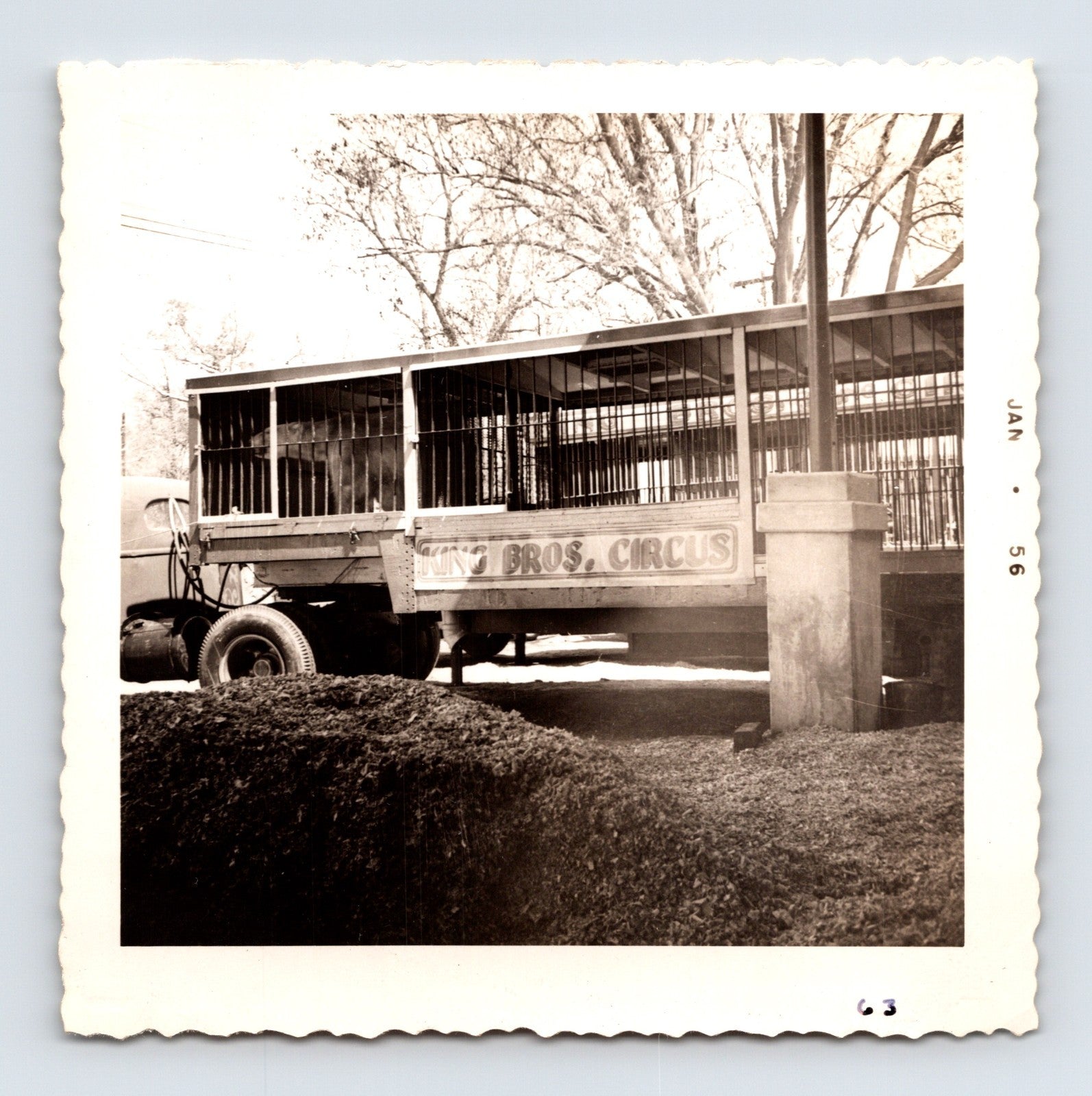 King Bros Circus 1956 photo animal transport cage trailer with bear inside winter quarters