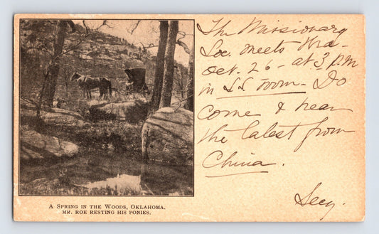 Newark New Jersey Reformed Church missionary postcard Oklahoma spring woods ponies 1904