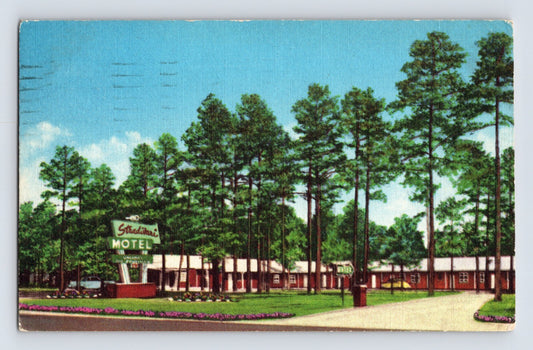 Lexington North Carolina Stradivari Motel roadside pine trees motor court linen postcard posted