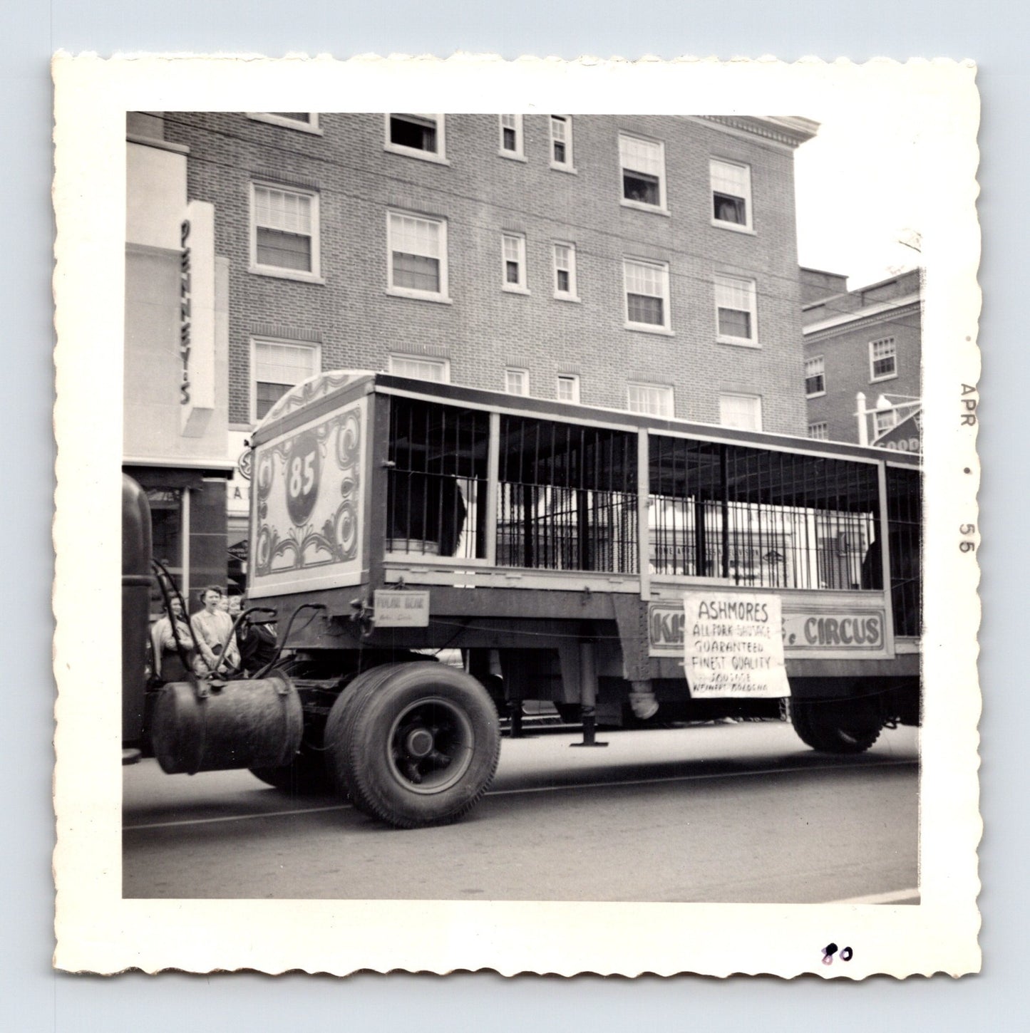 1955 Cole Bros Circus animal cage wagon snapshot photograph showing a parade transport trailer moving through downtown Decatur GA streets