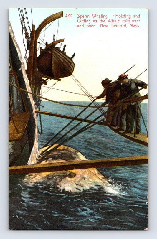 New Bedford Massachusetts sperm whaling crew cutting into whale alongside ship 1910s postcard