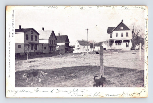 Turner New York House Dog Monroe Walden Pre-1907 Undivided Postcard Unposted