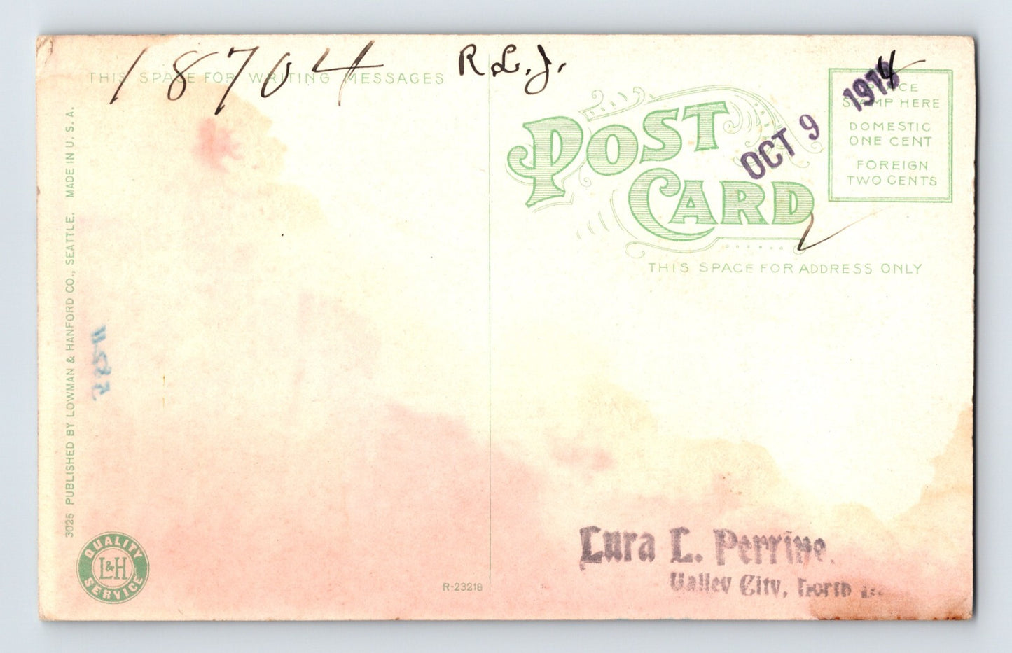 Seattle Washington Giant Fir Forestry Timber 1910s Postcard Unposted Undivided