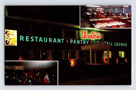 Cocoa Beach Florida Wolfie’s Restaurant Ramada 1960s Postcard Unposted Chrome