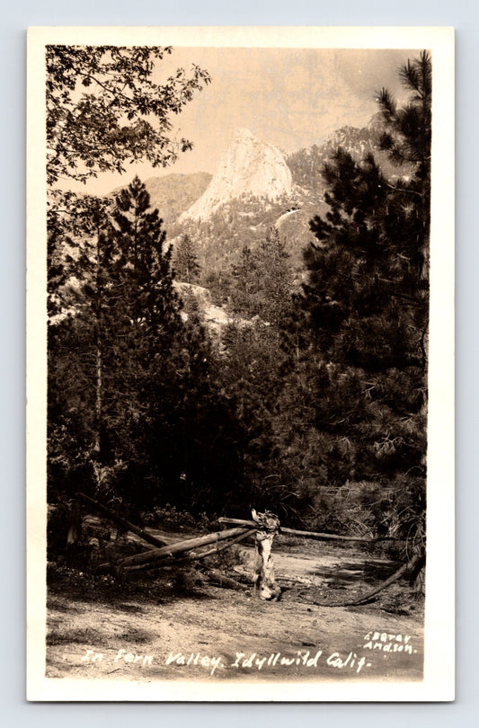 Idyllwild California Fern Valley mountain landscape RPPC postcard with pine forest and granite peak view
