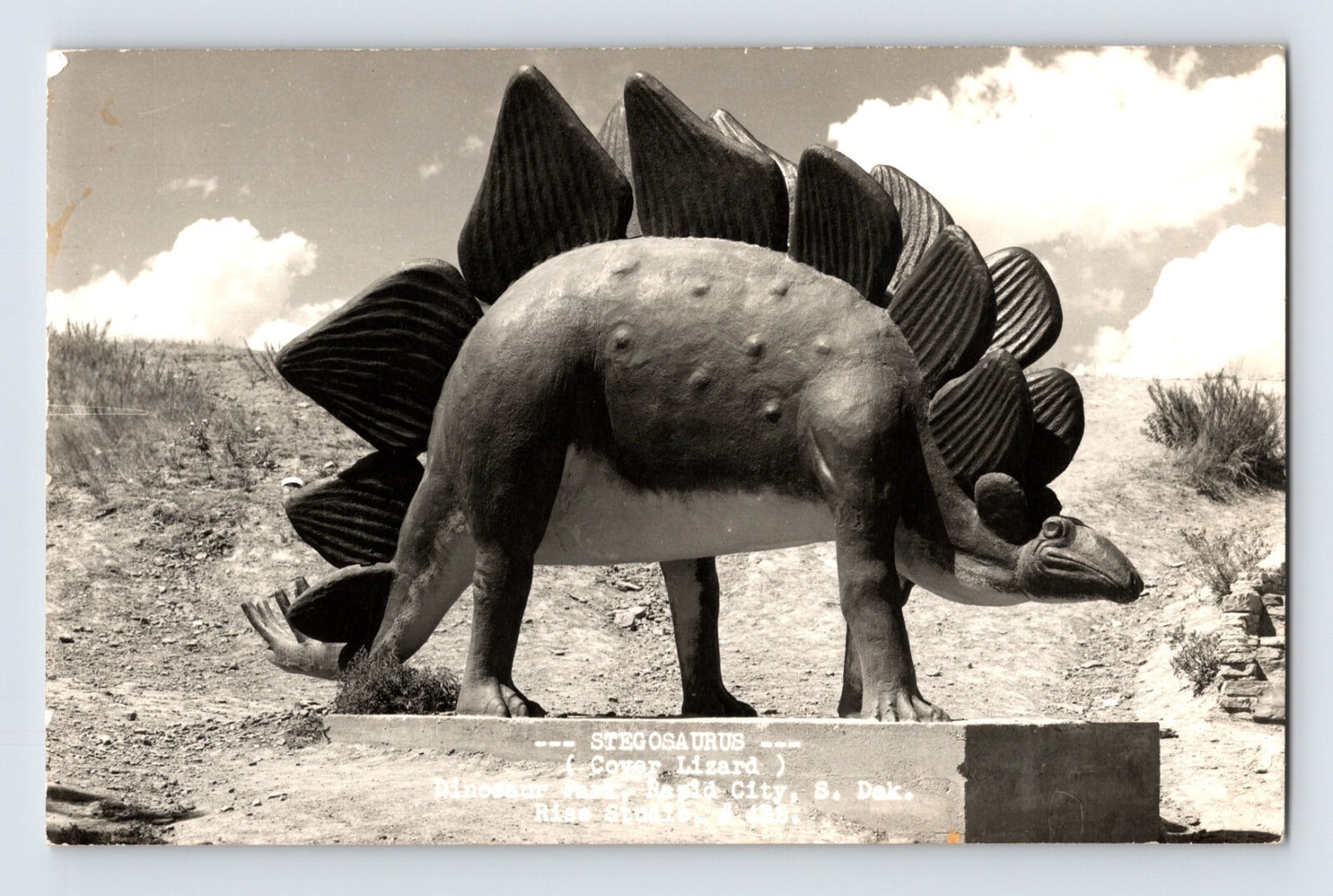Rapid City South Dakota Dinosaur Park stegosaurus statue hillside RPPC 1950s
