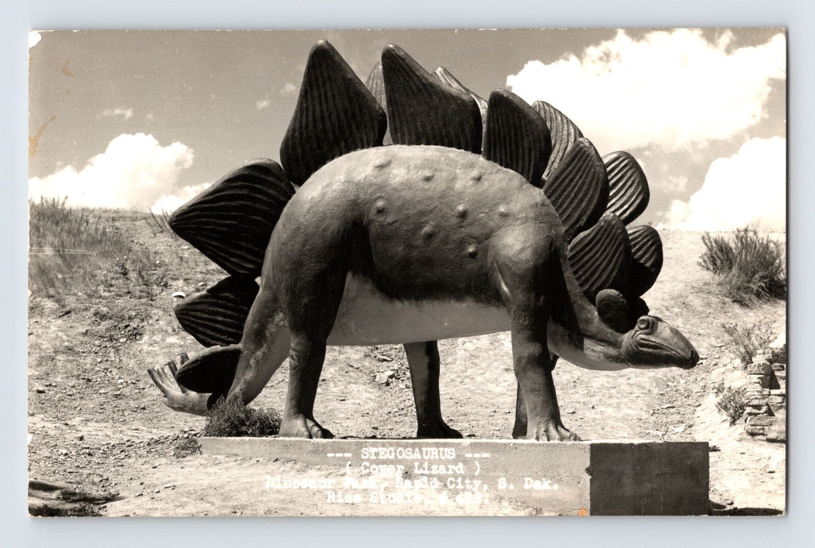 Rapid City South Dakota Dinosaur Park stegosaurus statue hillside RPPC 1950s